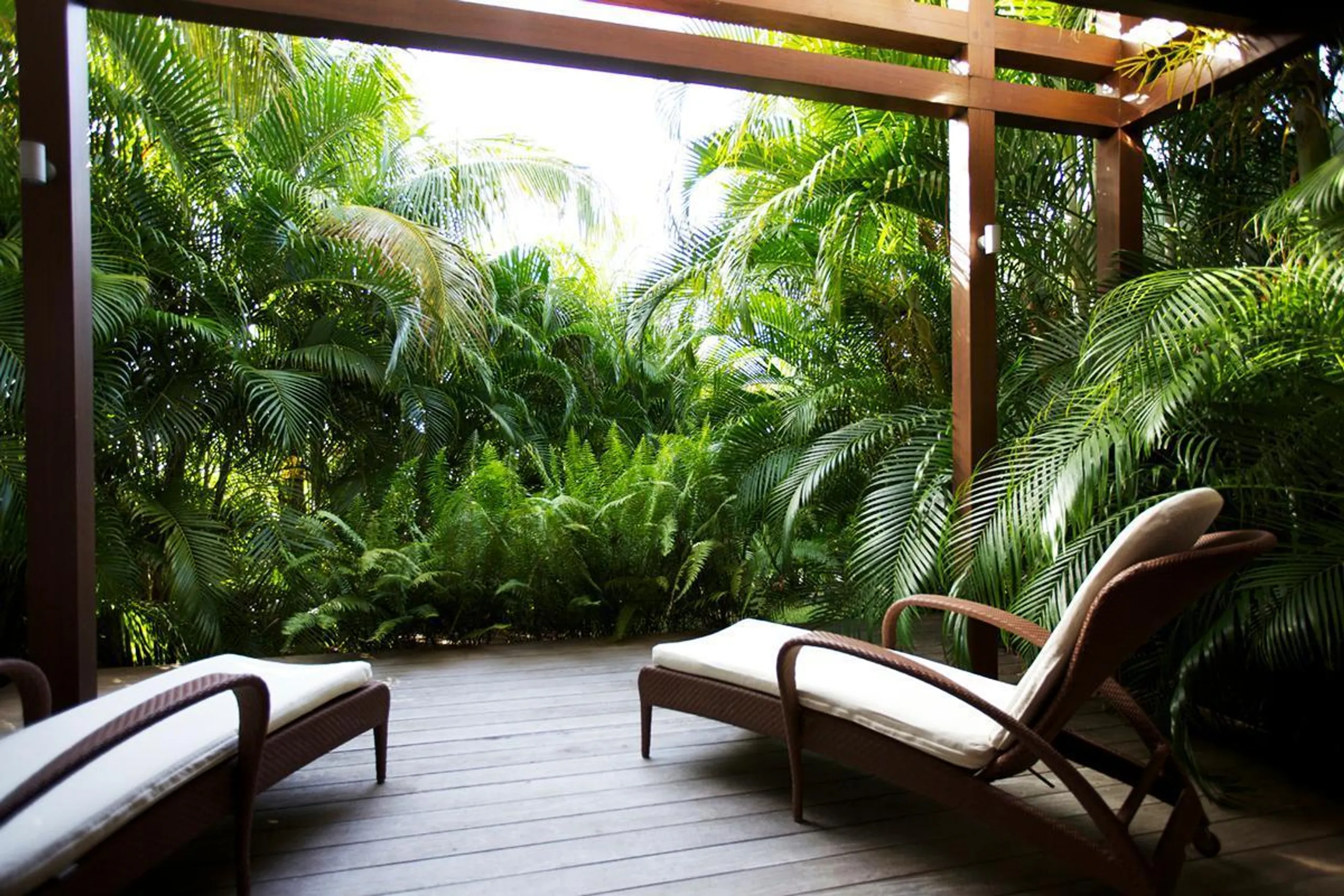 Graceful Tropical St. Jean Villa with Infinity Pool and Ocean Views — photograph 2