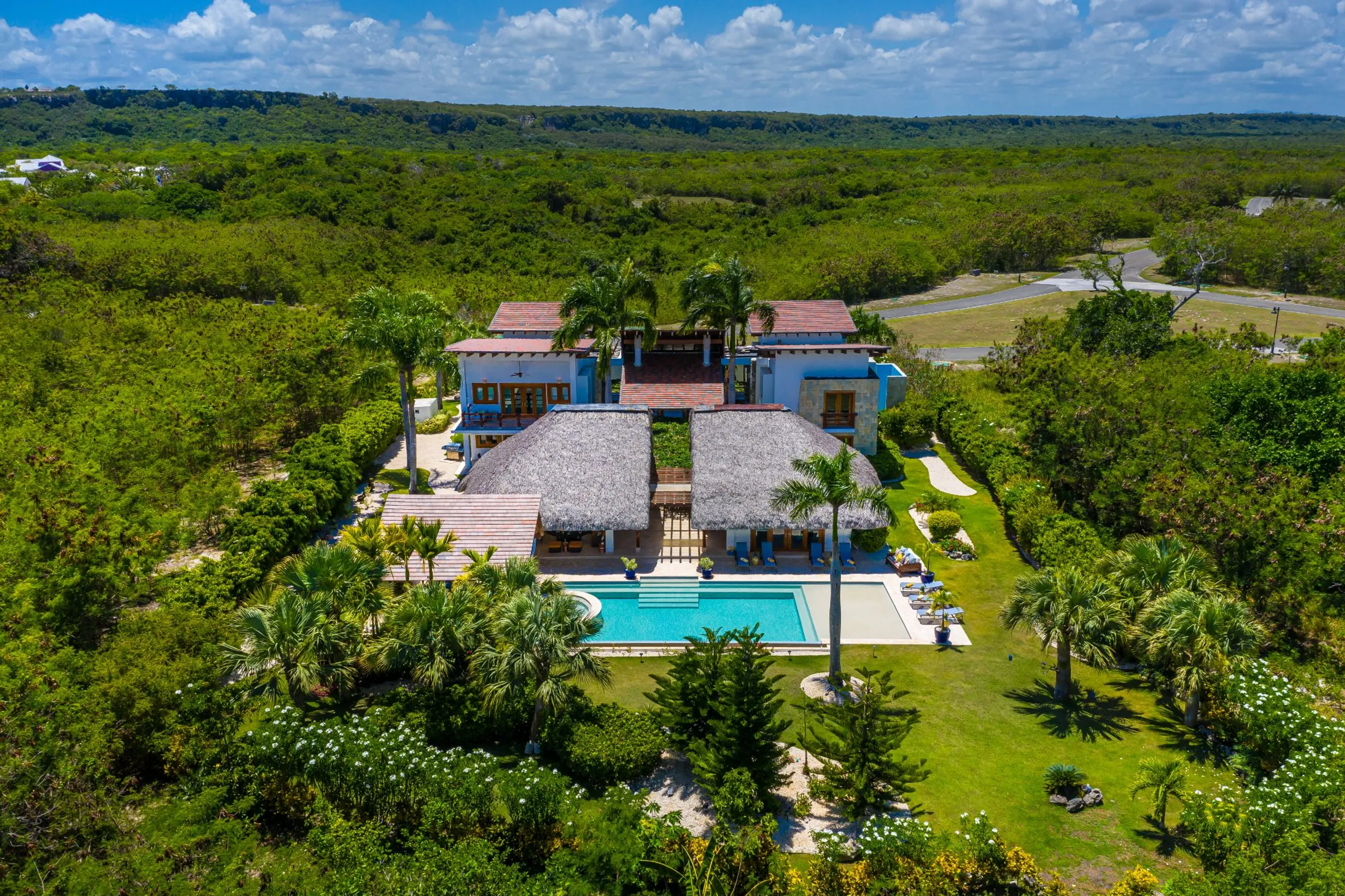 Elegant Cap Cana 12,000 Sq. Ft. Villa with Private Pool & Tropical Charm — photograph 2