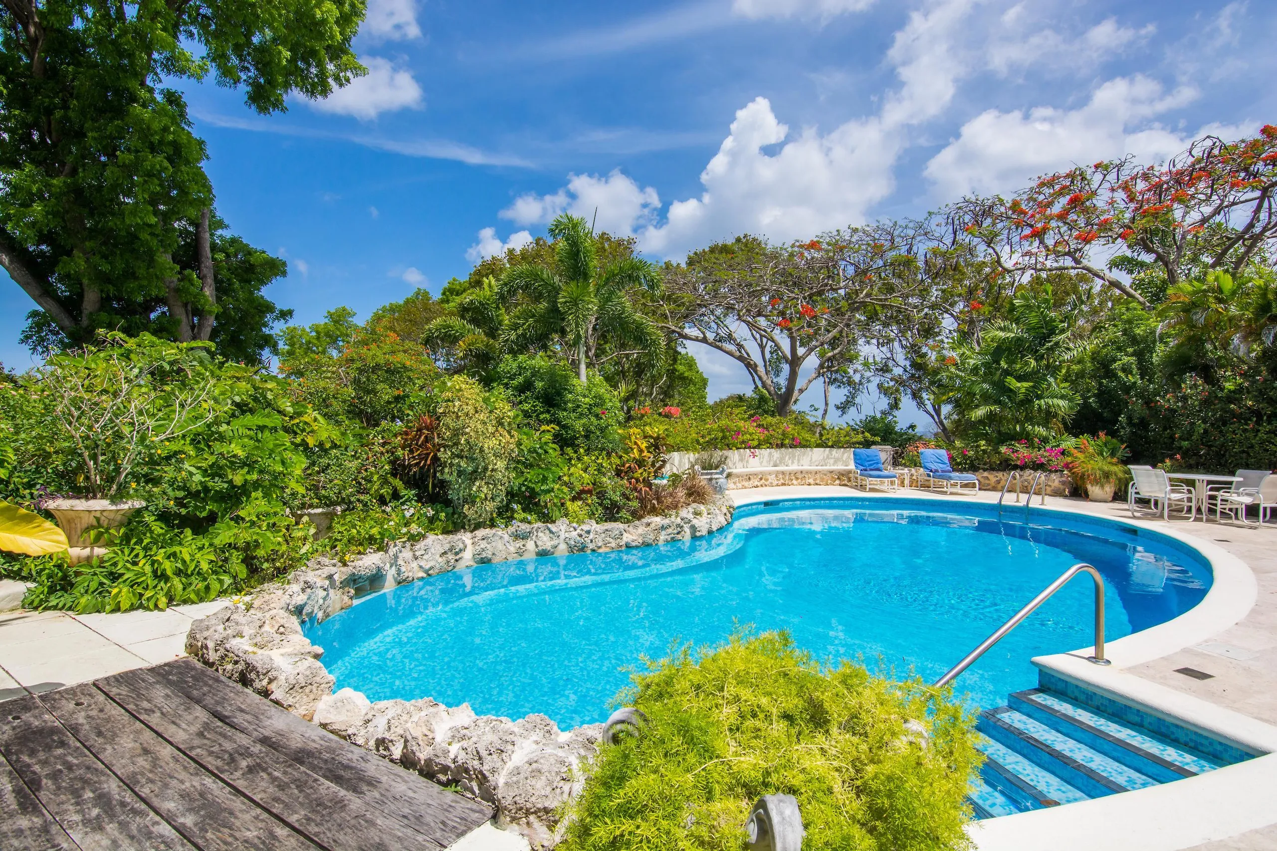 Sandy Lane's Lush and Tropic Villa with Access to a World Class Beach Club and more — photograph 10