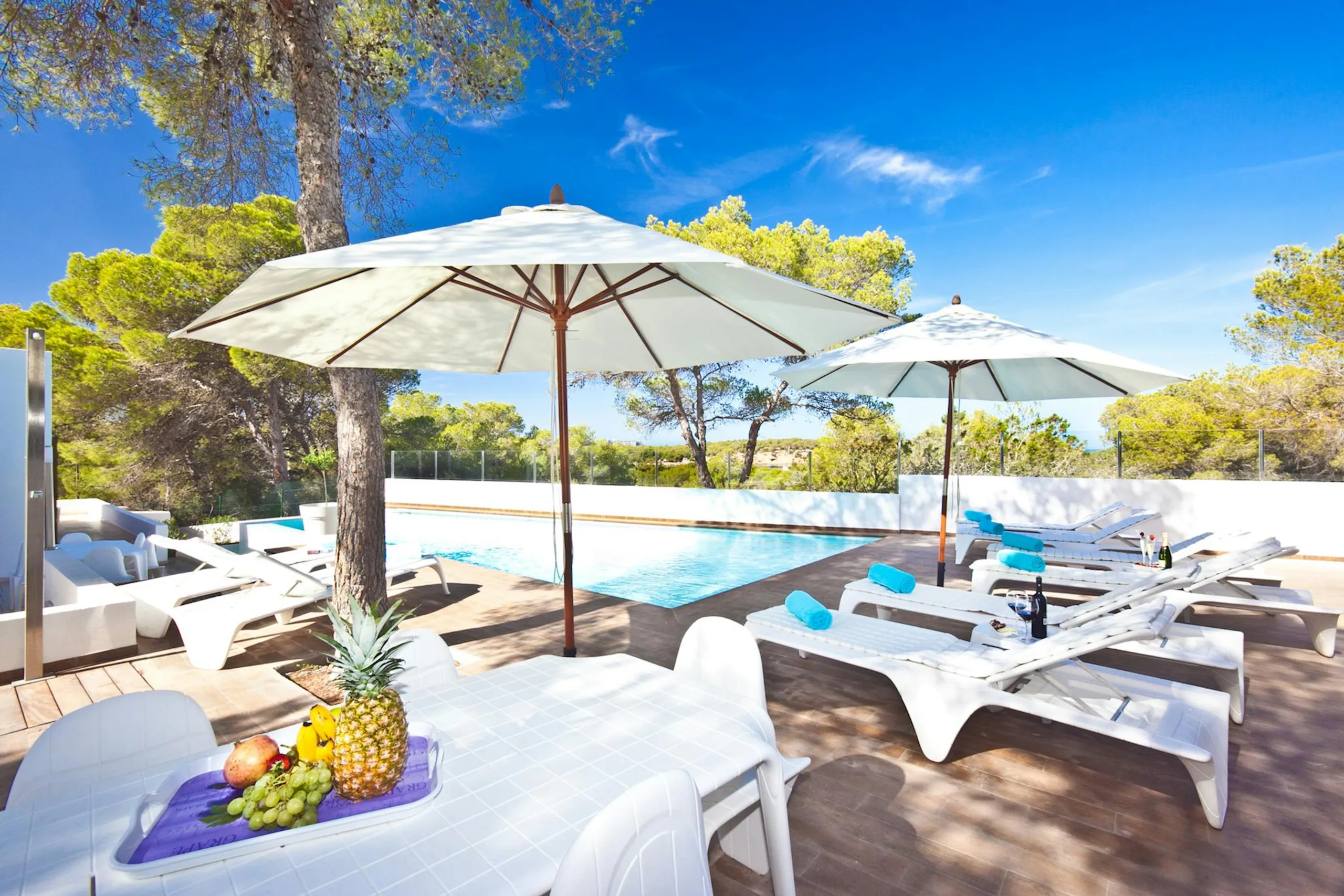 Elegant Ibiza Villa with Private Pool and Walks to Beach — photograph 5