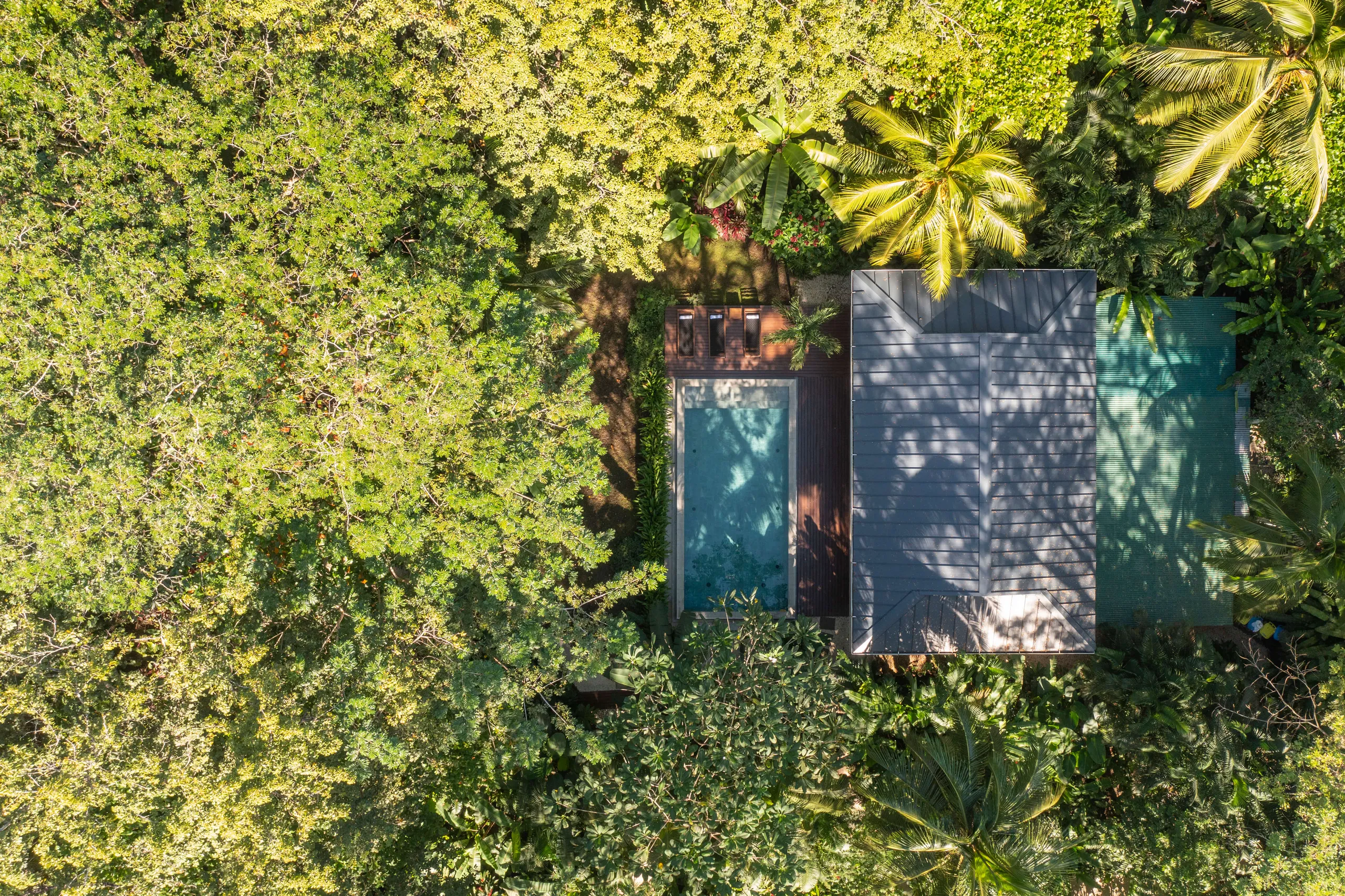 Tropical 4 Bedroom Villa with Private Pool, Beach Access, and Lush Gardens — photograph 6